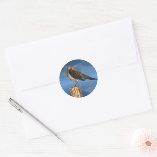 HYPER VOGELS/ROBINEBROOST RONDE STICKER (Envelop)