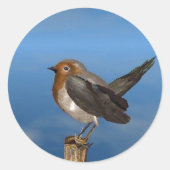 HYPER VOGELS/ROBINEBROOST RONDE STICKER (Voorkant)