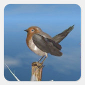 HYPER VOGELS/ROBINEBROOST VIERKANTE STICKER (Voorkant)