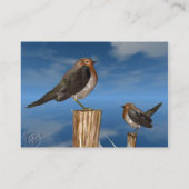 HYPER VOGELS/ROBINEBROOST VISITEKAARTJE (Achterkant)