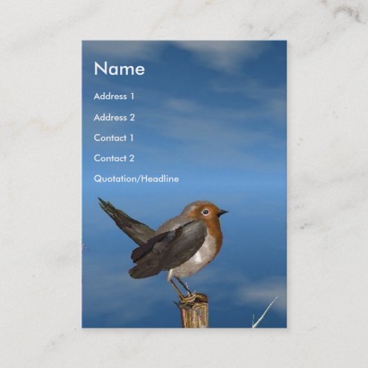 HYPER VOGELS/ROBINEBROOST VISITEKAARTJE (Voorkant)