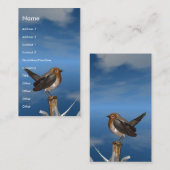 HYPER VOGELS/ROBINEBROOST VISITEKAARTJE (Voorkant / Achterkant)