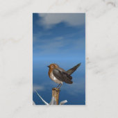 HYPER VOGELS/ROBINEBROOST VISITEKAARTJE (Achterkant)