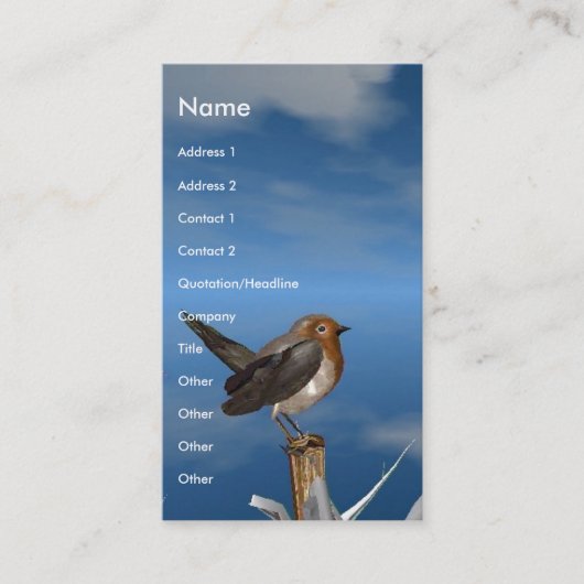 HYPER VOGELS/ROBINEBROOST VISITEKAARTJE (Voorkant)