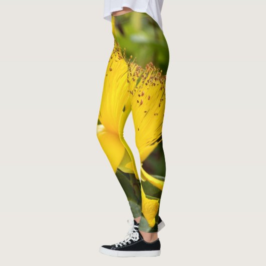 Hypericum calcium Leggings (Links)
