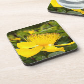Hypericum Calcyinum Hard Plastic Onderzetters (Linkerzijde)
