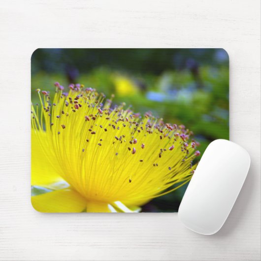 Hypericum Calcyinum Mouse Mat Muismat (Met muis)