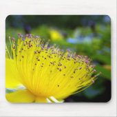 Hypericum Calcyinum Mouse Mat Muismat (Voorkant)