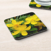 Hypericum calycinum bier onderzetter (Linkerzijde)