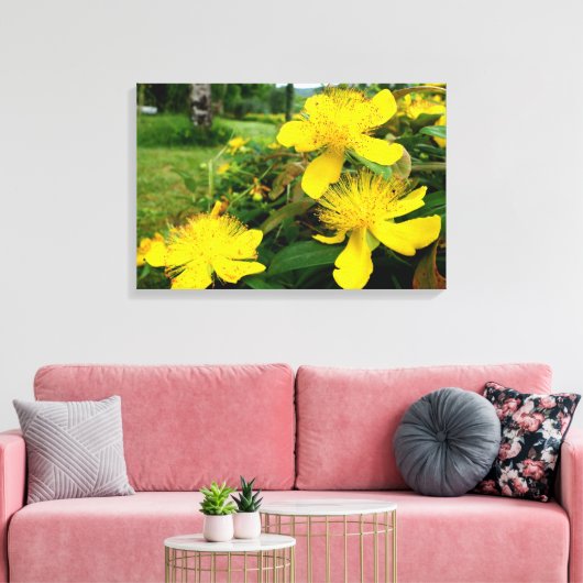 Hypericum calycinum canvas afdruk (Insitu (Woonkamer))