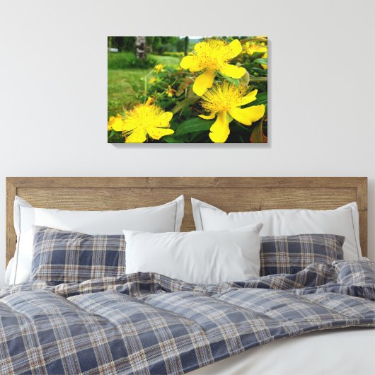 Hypericum calycinum canvas afdruk (Insitu (Slaapkamer))