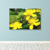 Hypericum calycinum canvas afdruk (Insitu (Houten vloer))