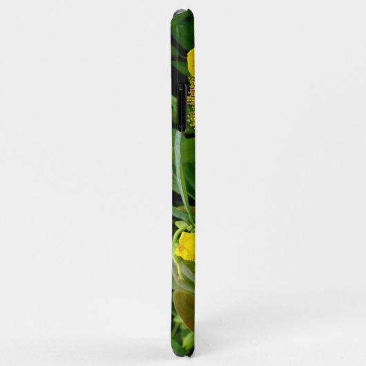 Hypericum calycinum Case-Mate iPhone case (Achterkant/rechts)