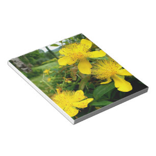 Hypericum calycinum notitieblok