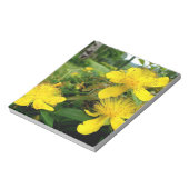 Hypericum calycinum notitieblok (Linkerzijde)
