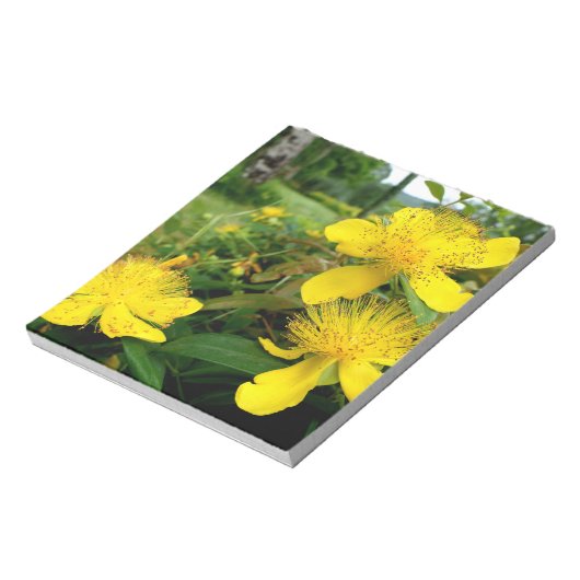 Hypericum calycinum notitieblok (Linkerzijde)
