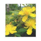 Hypericum calycinum notitieblok (Voorkant)
