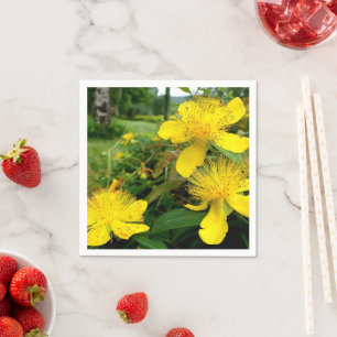 Hypericum calycinum papieren servetten