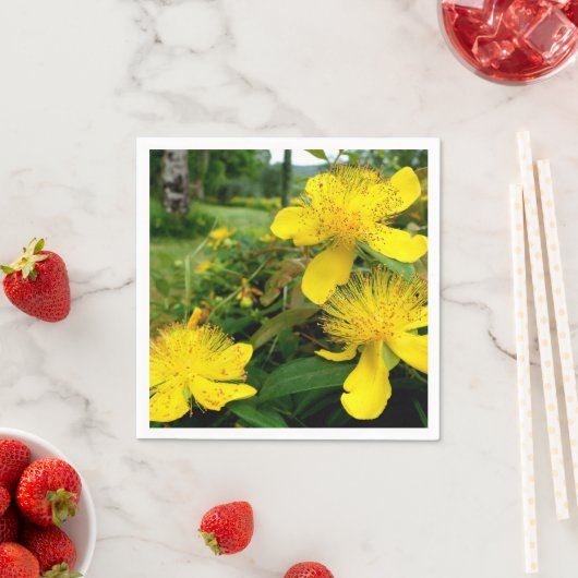 Hypericum calycinum papieren servetten (Insitu)
