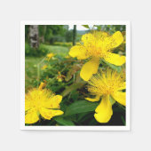 Hypericum calycinum papieren servetten (Voorkant)