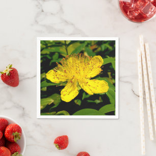 Hypericum calycinum papieren servetten