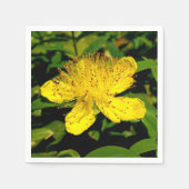Hypericum calycinum papieren servetten (Voorkant)