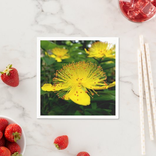 Hypericum calycinum papieren servetten (Insitu)