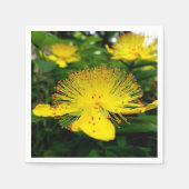 Hypericum calycinum papieren servetten (Voorkant)