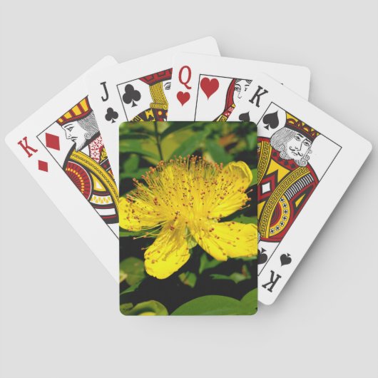 Hypericum calycinum pokerkaarten (Achterkant)