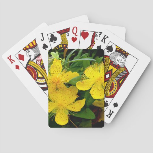 Hypericum calycinum pokerkaarten (Achterkant)
