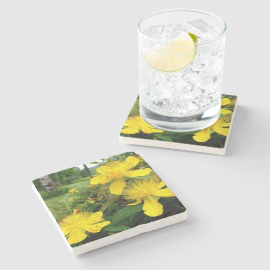 Hypericum calycinum stenen onderzetter (Zijkant)