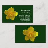 Hypericum Hidcote - Donkergroen Visitekaartje (Voorkant / Achterkant)