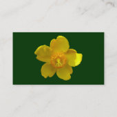 Hypericum Hidcote - Donkergroen Visitekaartje (Achterkant)