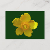 Hypericum Hidcote (sint-janskruid) Donkergroen Visitekaartje (Achterkant)