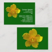 Hypericum hidcote (sint-janskruid) Grasgroen Visitekaartje (Voorkant / Achterkant)