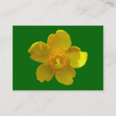 Hypericum hidcote (sint-janskruid) Grasgroen Visitekaartje (Achterkant)