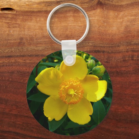 Hypericum Hidcote (sint-janskruid) Sleutelhanger (Voorkant)