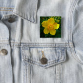 Hypericum Hidcote (Sint-Janskruid) Vierkante Button 5,1 Cm (In situ)