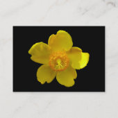 Hypericum Hidcote (Sint-Janskruid) Visitekaartje (Achterkant)
