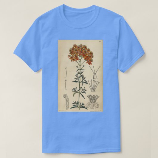 Hypericum laeve rubrum 144 8773 t-shirt (Design voorkant)
