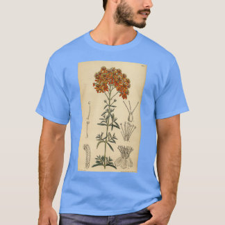 Hypericum laeve rubrum 144 8773 t-shirt