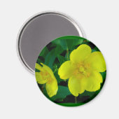 Hypericum Magnet (Voorkant / Achterkant)