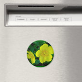 Hypericum Magnet (Insitu (Vaatwasser))