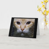 "Hypnotic " Kaart (Gele Bloem)