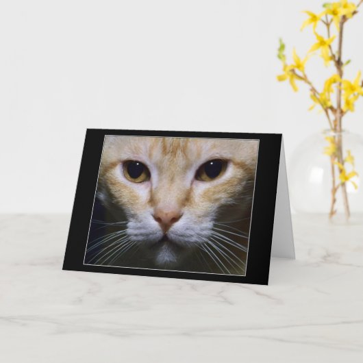 "Hypnotic " Kaart (Gele Bloem)