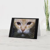 "Hypnotic " Kaart (Voorkant)