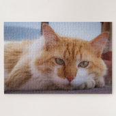 hypnotisch kattenpuzzel legpuzzel (Horizontaal)