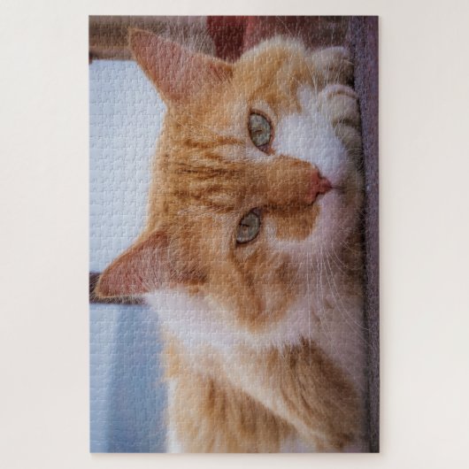 hypnotisch kattenpuzzel legpuzzel (Verticaal)