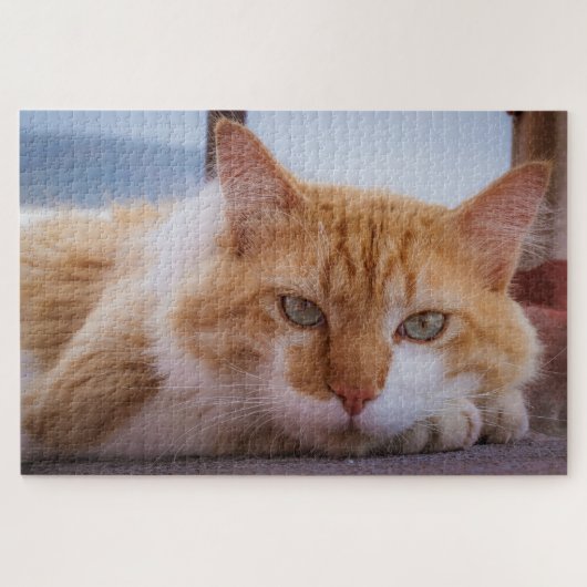 hypnotische kattenpuzzel legpuzzel (Horizontaal)