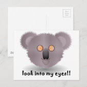 hypnotische koala briefkaart (Voorkant / Achterkant)